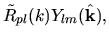 $\displaystyle \tilde{R}_{pl}(k)Y_{lm}(\hat{\bf k}),$
