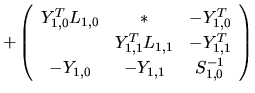 $\displaystyle +
\left(
\begin{array}{ccc}
Y_{1,0}^{T}L_{1,0} & * & -Y_{1,0}^{T}...
...L_{1,1} & -Y_{1,1}^{T}\\
-Y_{1,0} & -Y_{1,1} & S_{1,0}^{-1}
\end{array}\right)$